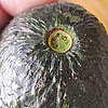 How to Tell If an Avocado Is Ripe