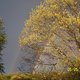 NikiW72's picture