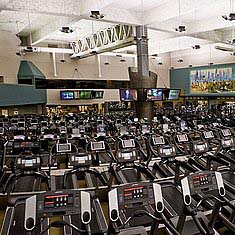 Best Gyms