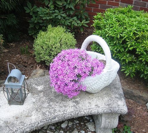 Curves in Landscaping