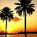 Miami, FL