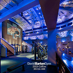 David Barton Gym
