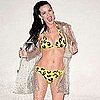 Today's Celebrity News 2011-06-22 08:51:44