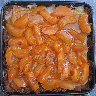 Apricot Tart Recipe