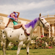 clairelouise92 clairelouise92