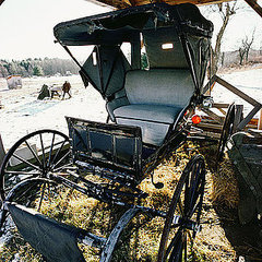 Amish Sexting Scandal Amish Sexting Scandal