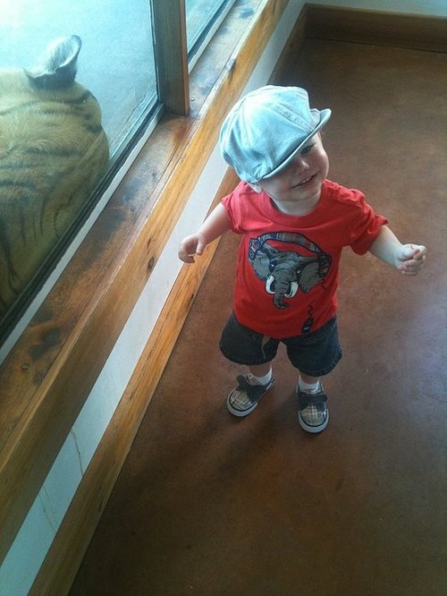 A Day At The Zoo