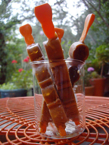 Vietnamese Coffee Pops Vietnamese Coffee Pops