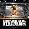 Can I Leave a Dog Inside the Car?