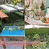 Succulent Tables and Table Arrangements