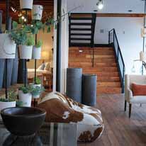 Cisco Home