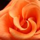chiquita29's picture