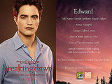 Edward,Bella & Jacob's Comic Con Promotional Cards - From The Breaking Dawn Promoshoot