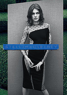 Stella McCartney Fall 2011 Ad Campaign — Natalia Vodianova
