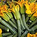 What to Buy: Zucchini Squash