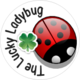 The Lucky Ladybug's picture