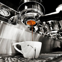 Chicago's Best Coffee Spots