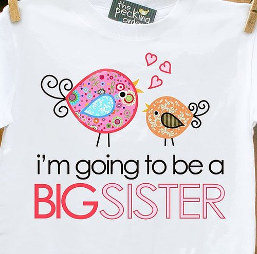 Big Brother or Big Sister Big Brother or Big Sister