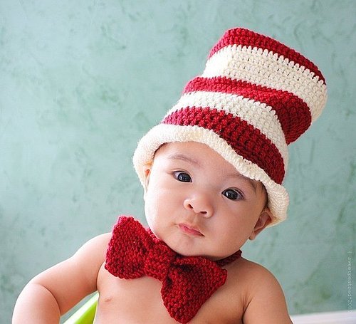 The Cutest Cat in The Hat The Cutest Cat in The Hat