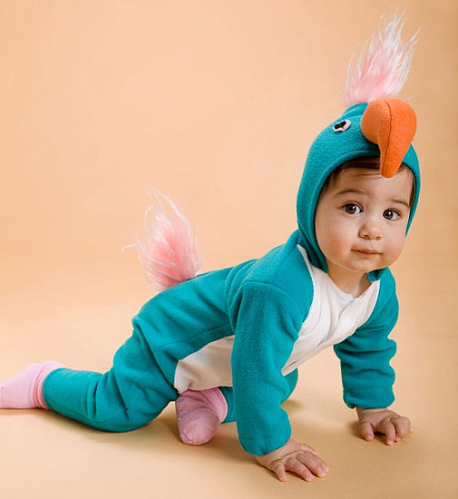 Turquoise Parrot Baby Costume Turquoise Parrot Baby Costume