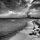 Pureshore's picture