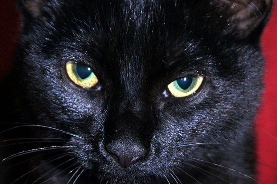 Source: Flickr User ~ My World ~
Source: Flickr User ~ My World ~