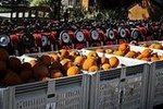 Didier Farms