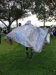 Cool Caped Lady