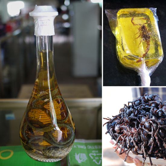 Food Delicacies From Around the World
