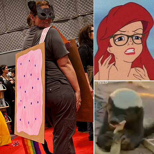 Internet Meme Costumes