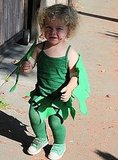 This Kid's Gone to Seed