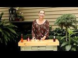All Natural Massage Oil