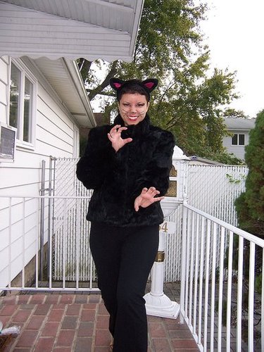 Fashion Forward Kitty 