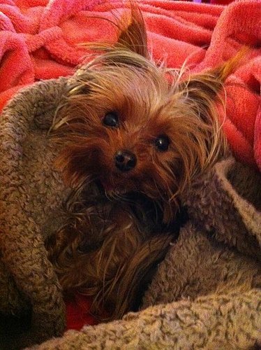 Cold Winter Morning!!!