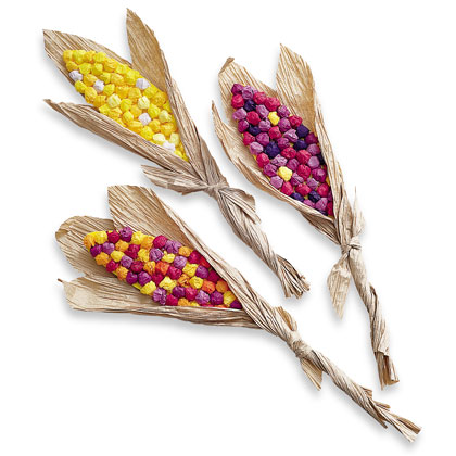 Paper Indian Corn Paper Indian Corn