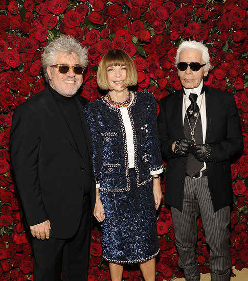 2011 MoMA Almodovar Film Benefit Red Carpet Fashion [Pictures]