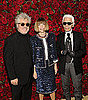2011 MoMA Almodovar Film Benefit Red Carpet Fashion [Pictures]