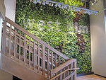 West Elm LA