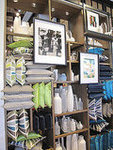 West Elm LA