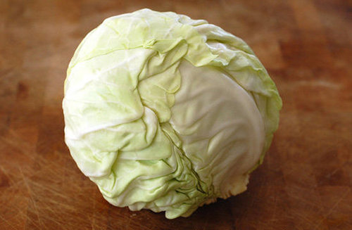 The Fall Food: Cabbage The Fall Food: Cabbage