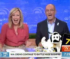 Video of Sunrise Giving Away $40,000 Cash Cow Prize to Viewer Who Answers With Today Tagline