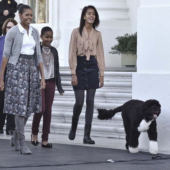 Bo Obama With White House Christmas Tree Bo Obama With White House Christmas Tree