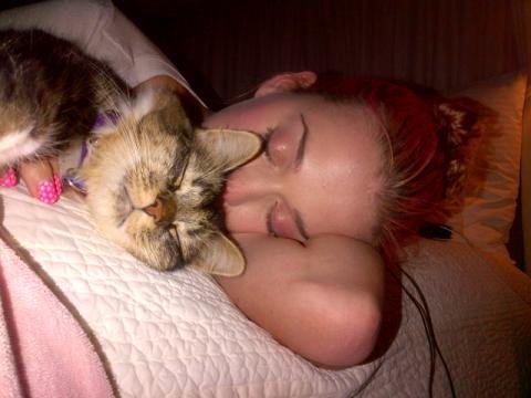 Pretty Kitty Pretty Kitty
