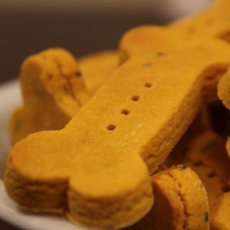 Wheat-Free Pumpkin Dog Biscuit Recipe