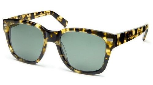 Warby Parker Sunglasses Warby Parker Sunglasses