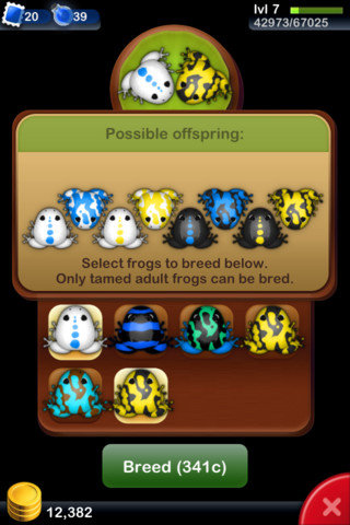 Pocket Frogs Pocket Frogs