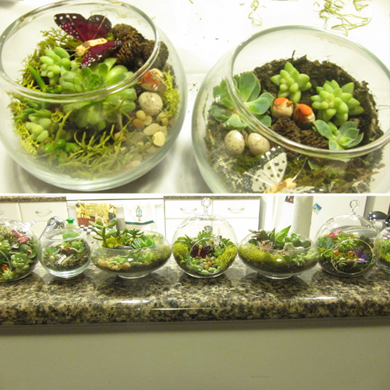 How to Make Terrariums