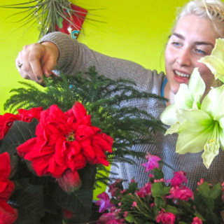 Holiday Flower and Bouquet Tips