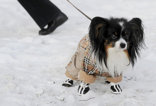 Sometimes the cold is so biting, you need to cover those tender feet as well!
Source: Getty Images
Sometimes the cold is so biting, you need to cover those tender feet as well!
Source: Getty Images