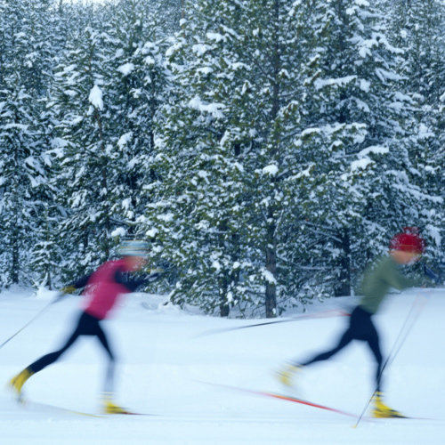 Beginner Cross-Country Skiing Tips